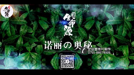 深圳拍攝產(chǎn)品視頻 - 深圳映畫傳媒